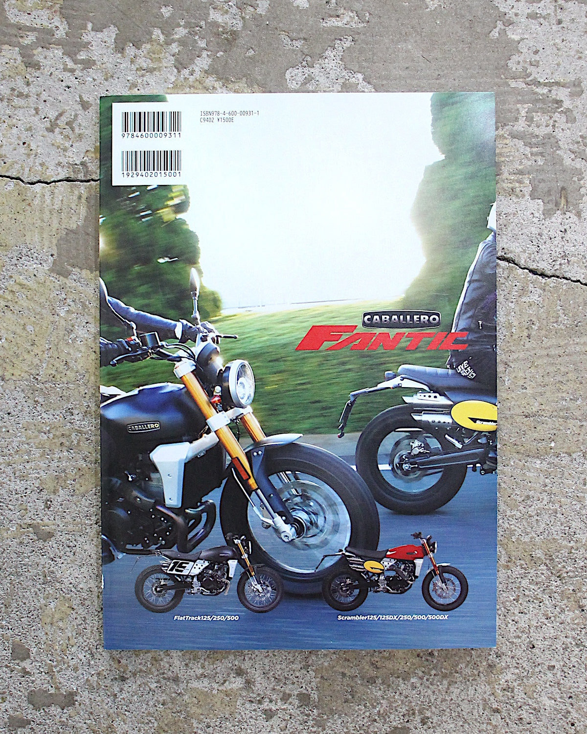 YOU WILL BIKE / 12