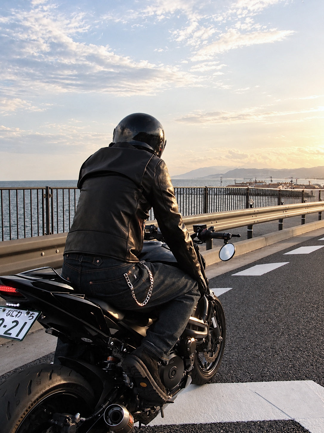 A LEATHER / ROADSTER JACKET