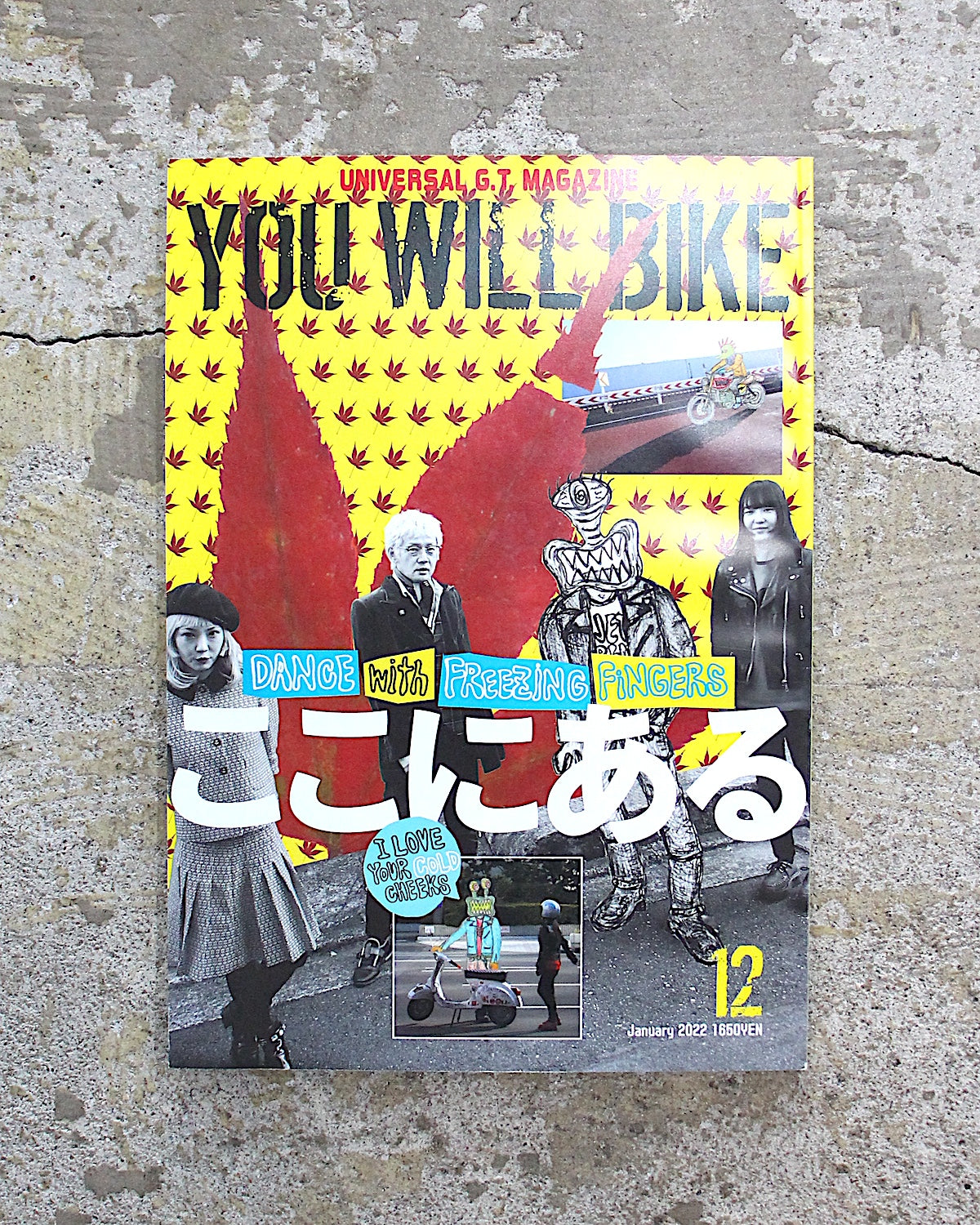 YOU WILL BIKE / 12