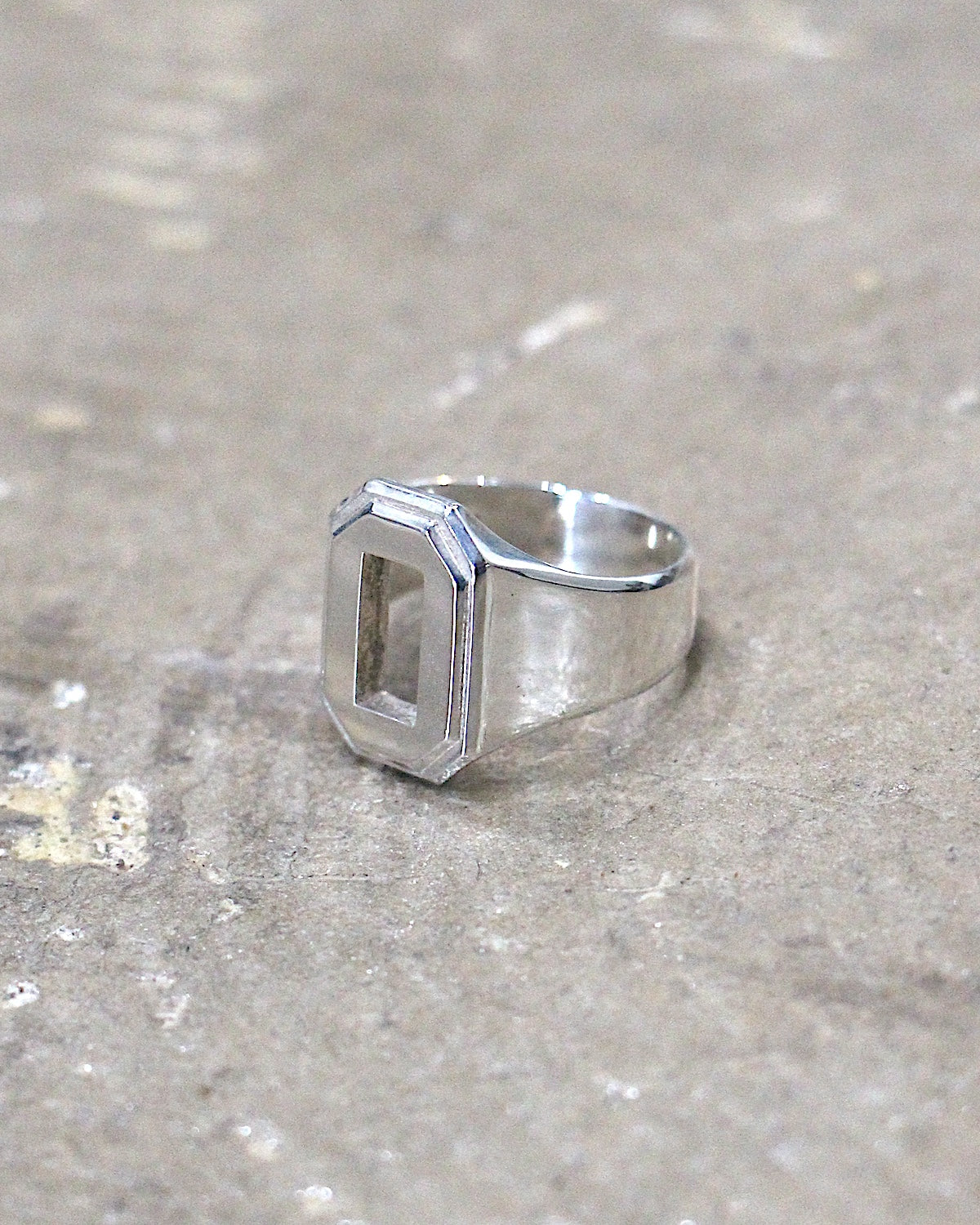 HORIZON / O RING