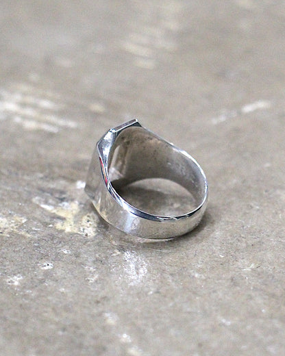 HORIZON / O RING