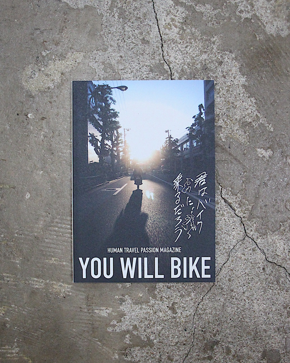 YOU WILL BIKE / 25